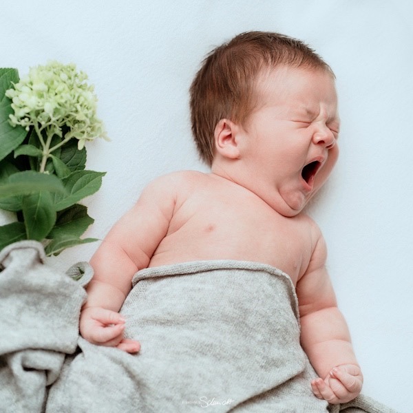 babyshooting-babyfotografin hannover-hannover-newbornshooting-fotostudio-kreativnus-schmidt-fotografie-wunstorf-hannover-baby-newborn-neugeborenes