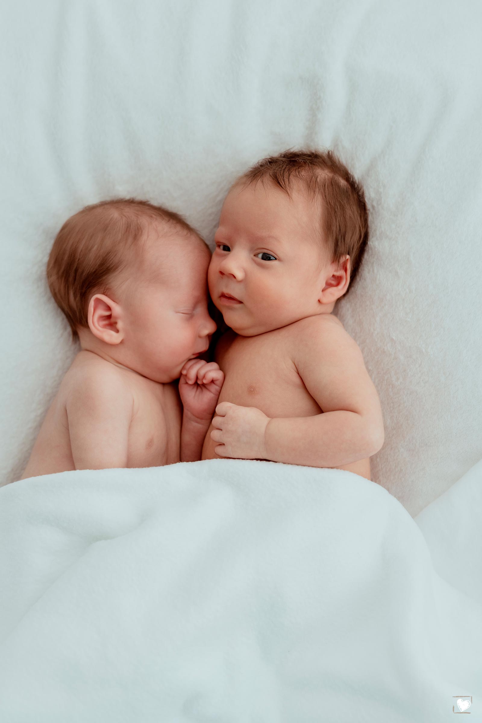 babyshooting hannover-babyfotos-familienfotografin-hannover-fotograf-wunstorf-newbornshooting-babyfotografie-region-hannover-familienfotografie