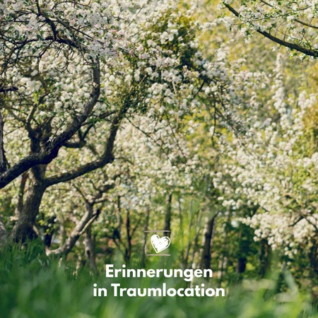 familienshooting-familienfotoshooting-hannover-frühling-familie-shooting-region-hannover-blütenshooting-kreativnus-schmidt-fotografie-familienfotografin-fotografin-wunstorf