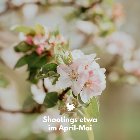 Familienshooting Region Hannover im Frühling