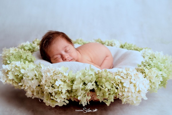 Newbornshooting im Fotostudio von KreativNus Schmidt Fotografie bei Hannover. Baby im Blumenkorb schlafend.